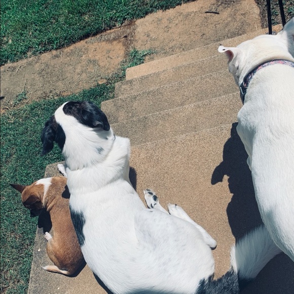 Meet your Posher, Francisco - Picture 4 of 4